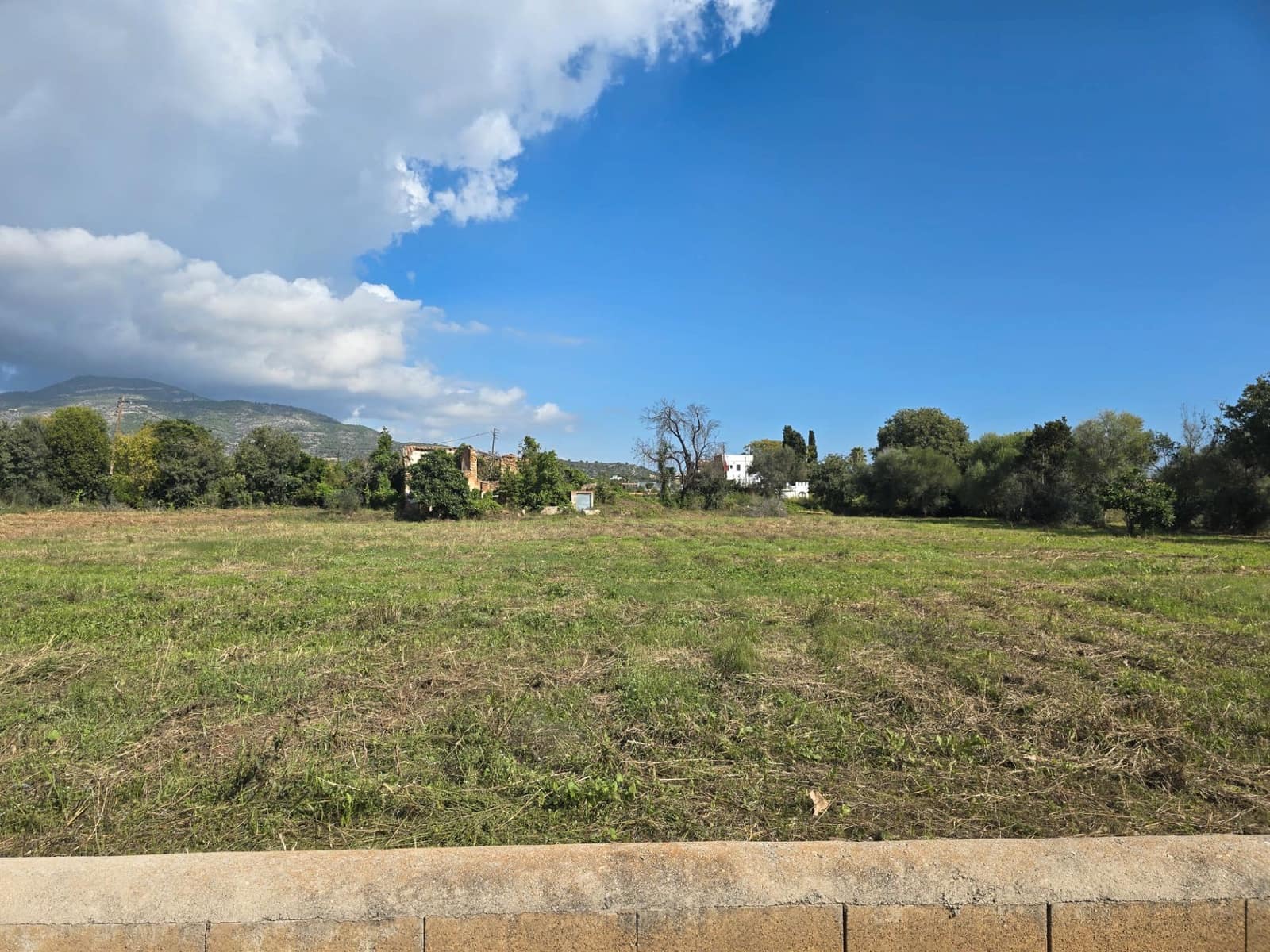 Finca/Country House for sale in Alcanar - € 120,500 (Ref: 9414442)