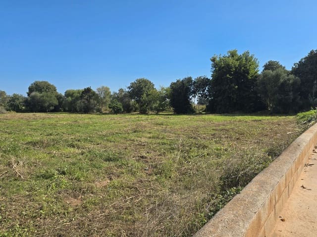 Maalaistalo myytävänä paikassa Alcanar - 120 500 € (Ref: 9414442)