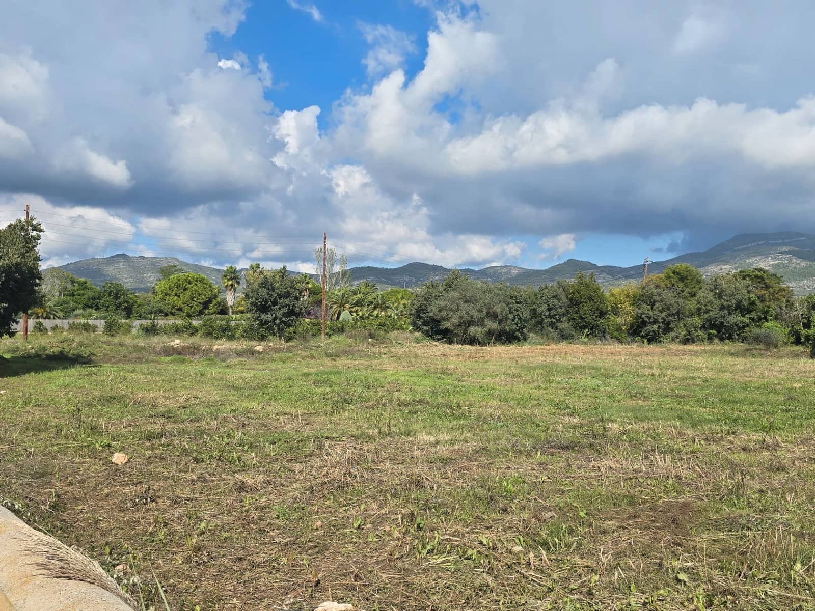 Finca/Country House for sale in Alcanar - € 120,500 (Ref: 9414442)