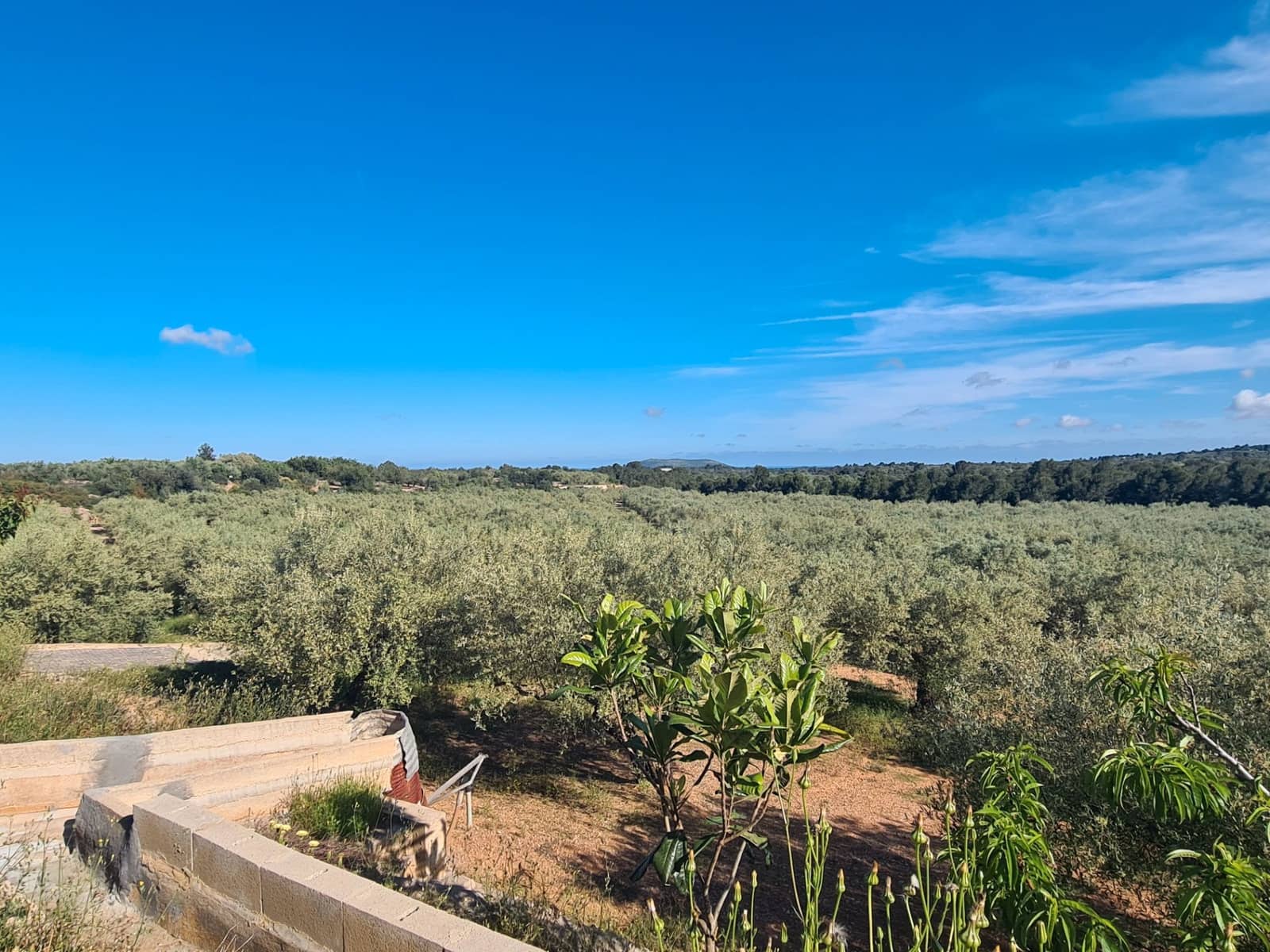 Finca/Country House for sale in Sant Jordi - € 250,000 (Ref: 9414452)