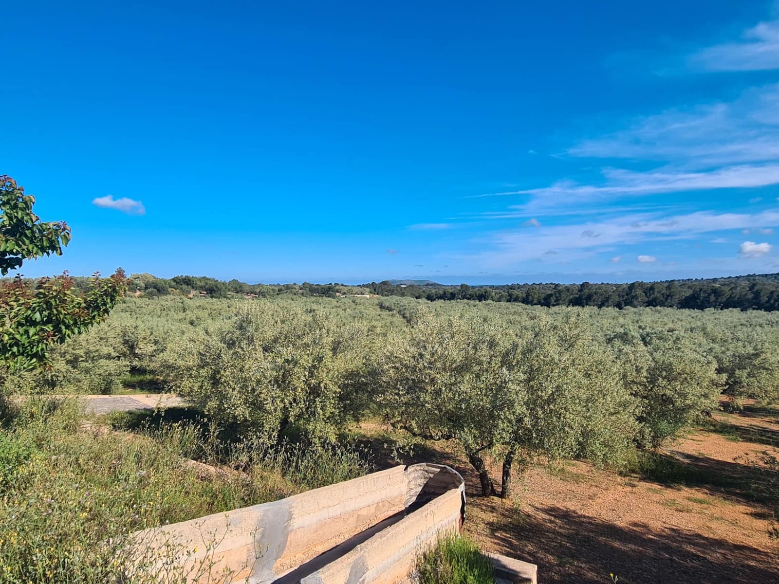 Finca/Country House for sale in Sant Jordi - € 250,000 (Ref: 9414452)