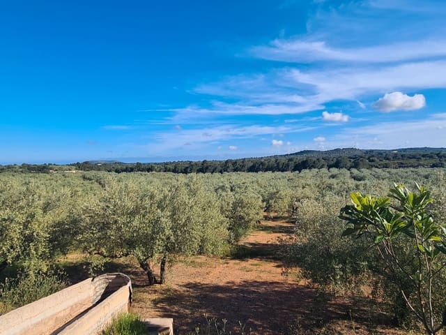 Finca/Landhuis te koop in Sant Jordi - € 250.000 (Ref: 9414452)