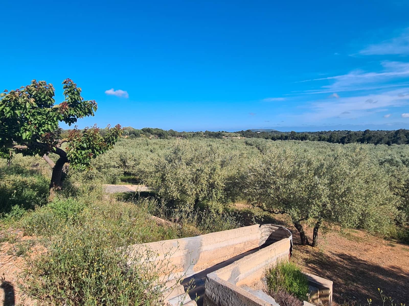 Finca/Country House for sale in Sant Jordi - € 250,000 (Ref: 9414452)