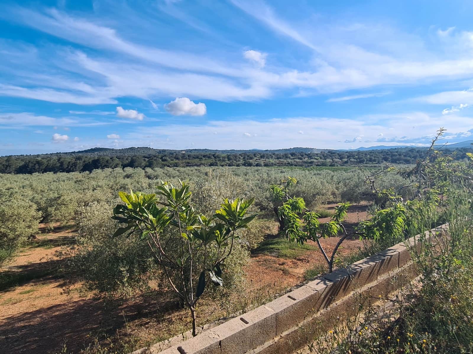 Finca/Country House for sale in Sant Jordi - € 250,000 (Ref: 9414452)