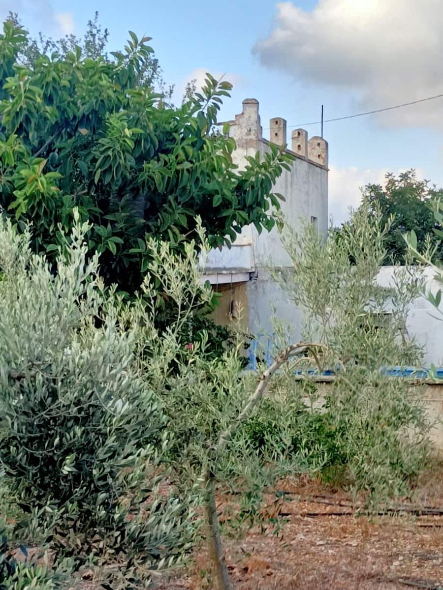 Finca/Country House for sale in Vinaros - € 399,000 (Ref: 9414470)