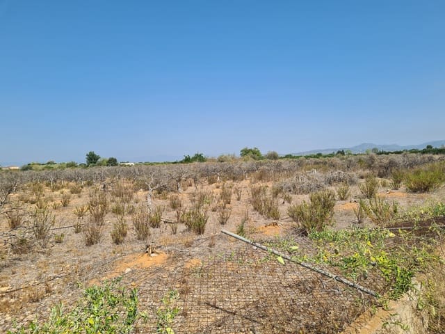 Finca/Casa Rural en Vinaròs en venta - 399.000 € (Ref: 9414470)