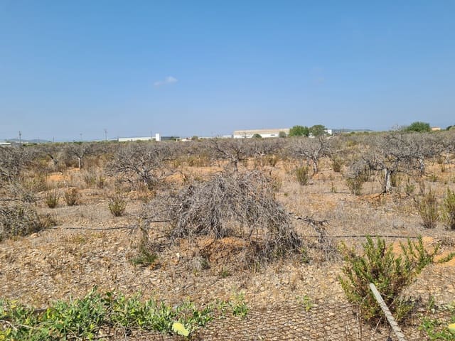 Finca/Casa Rural en Vinaròs en venta - 399.000 € (Ref: 9414470)