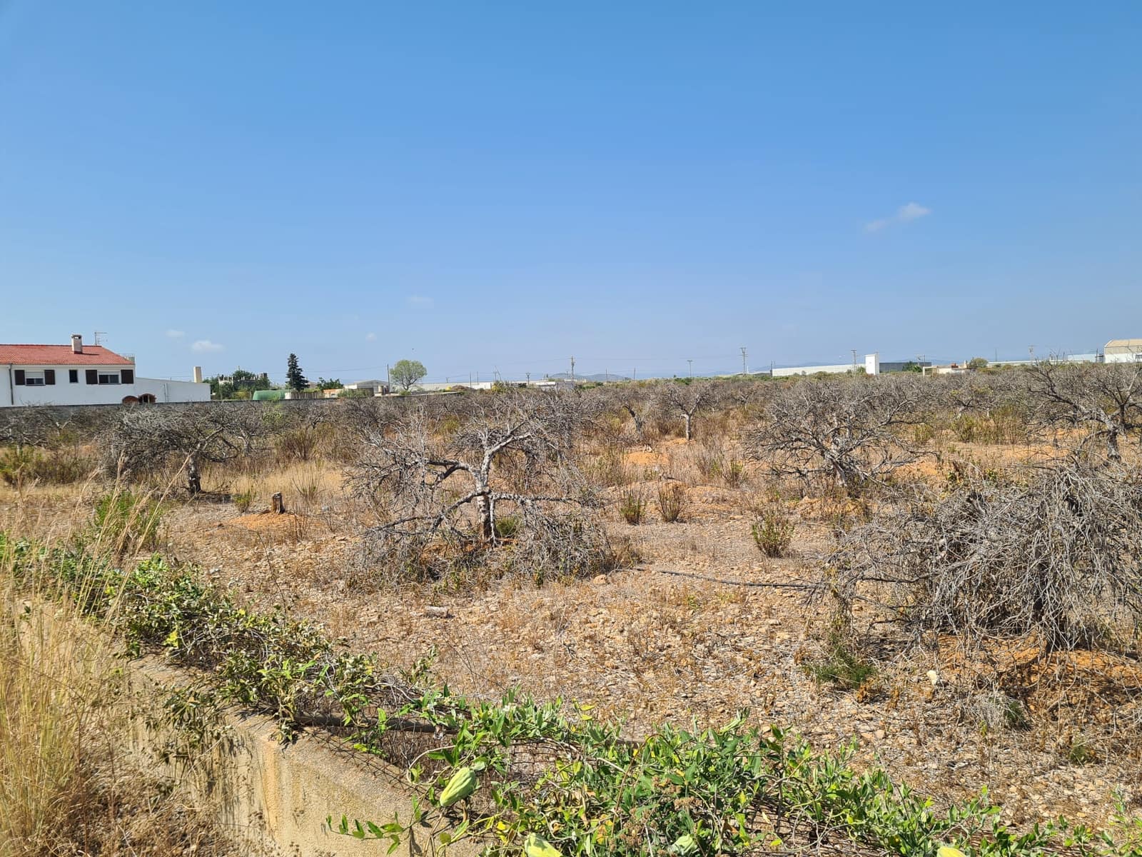 Finca/Country House for sale in Vinaros - € 399,000 (Ref: 9414470)