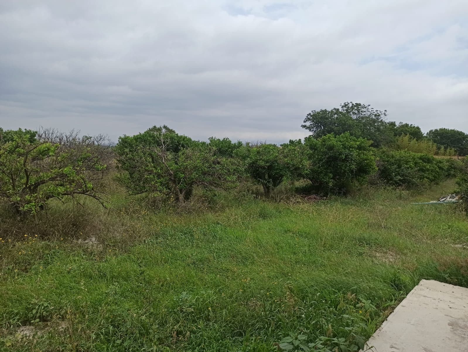 5 Zimmer Finca/Landgut zu verkaufen in San Rafael del Rio / Sant Rafael del Riu - 148.000 € (Ref: 9414472)