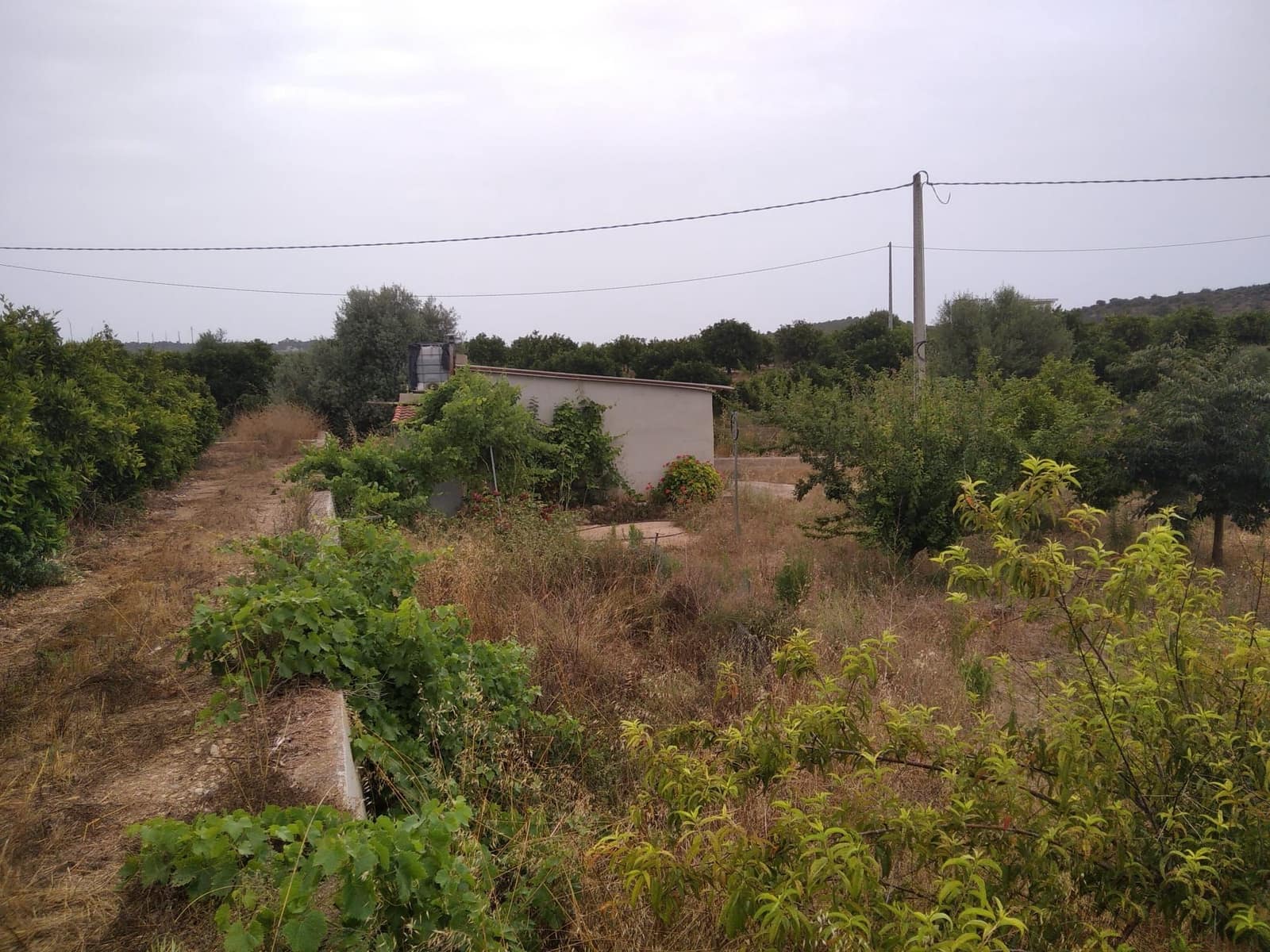 Finca/Country House for sale in Vinaros - € 62,900 (Ref: 9414476)