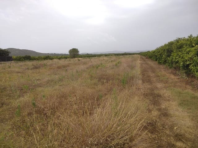 Finca/Casa Rural en Vinaròs en venta - 62.900 € (Ref: 9414476)