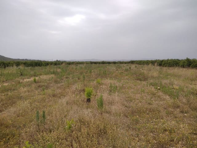 Finca/Casa Rural en Vinaròs en venta - 62.900 € (Ref: 9414476)