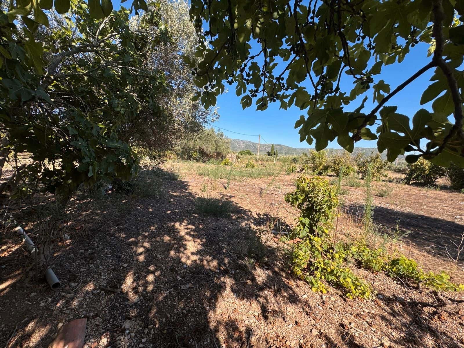 Finca/Casa Rural en Ulldecona en venta - 154.500 € (Ref: 9414481)