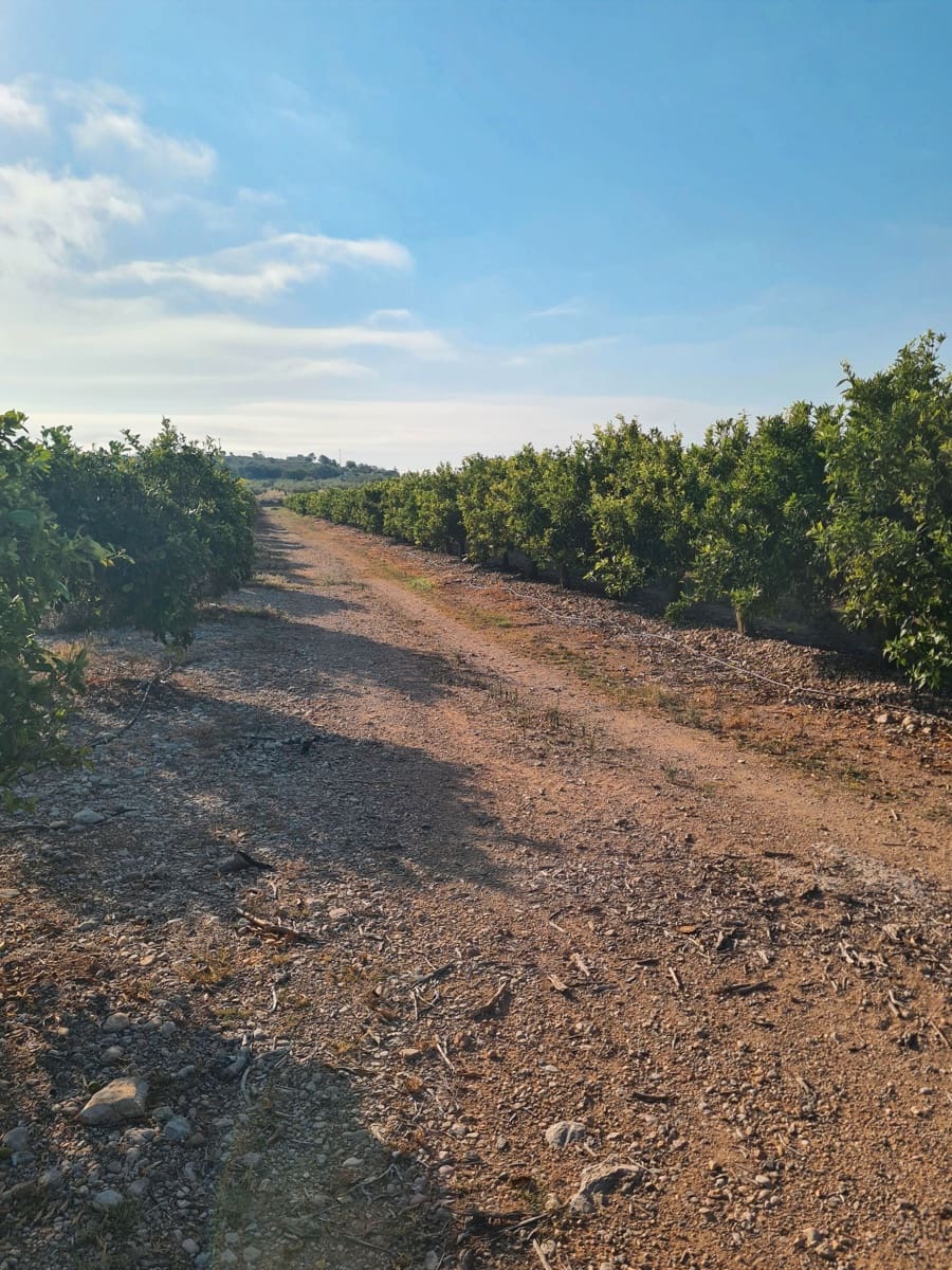 Finca/Country House for sale in Vinaros - € 32,000 (Ref: 9414489)