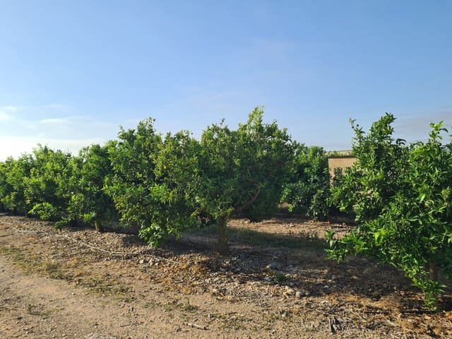 Finca/Casa Rural en Vinaròs en venta - 32.000 € (Ref: 9414489)