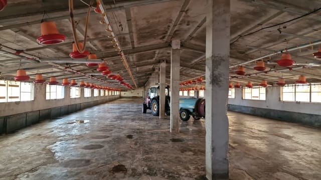 Finca/Casa Rural en Vinaròs en venta - 330.000 € (Ref: 9414497)