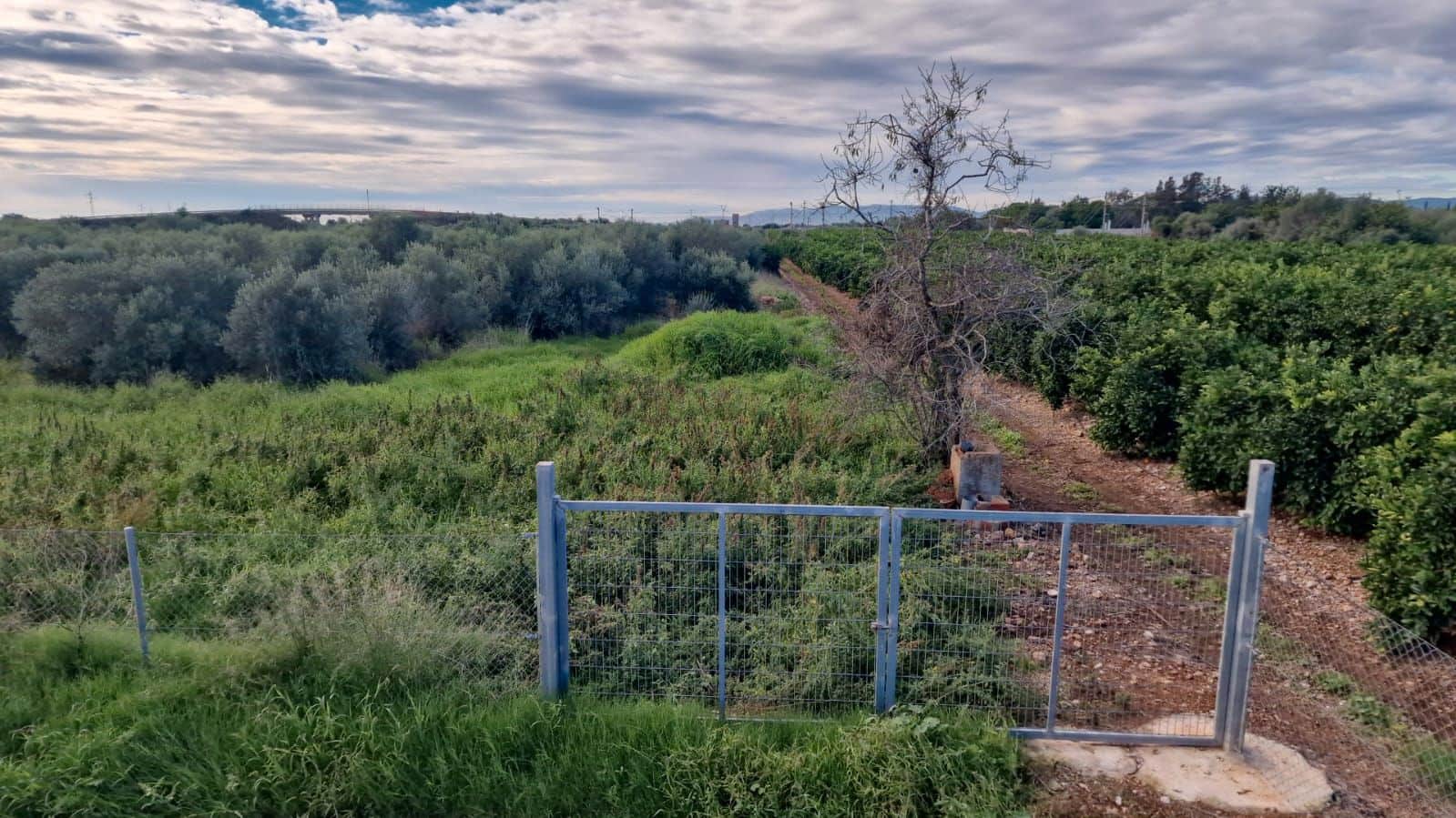 Finca/Country House for sale in Vinaros - € 330,000 (Ref: 9414497)