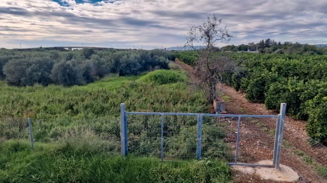 Finca/Casa Rural en Vinaròs en venta - 330.000 € (Ref: 9414497)