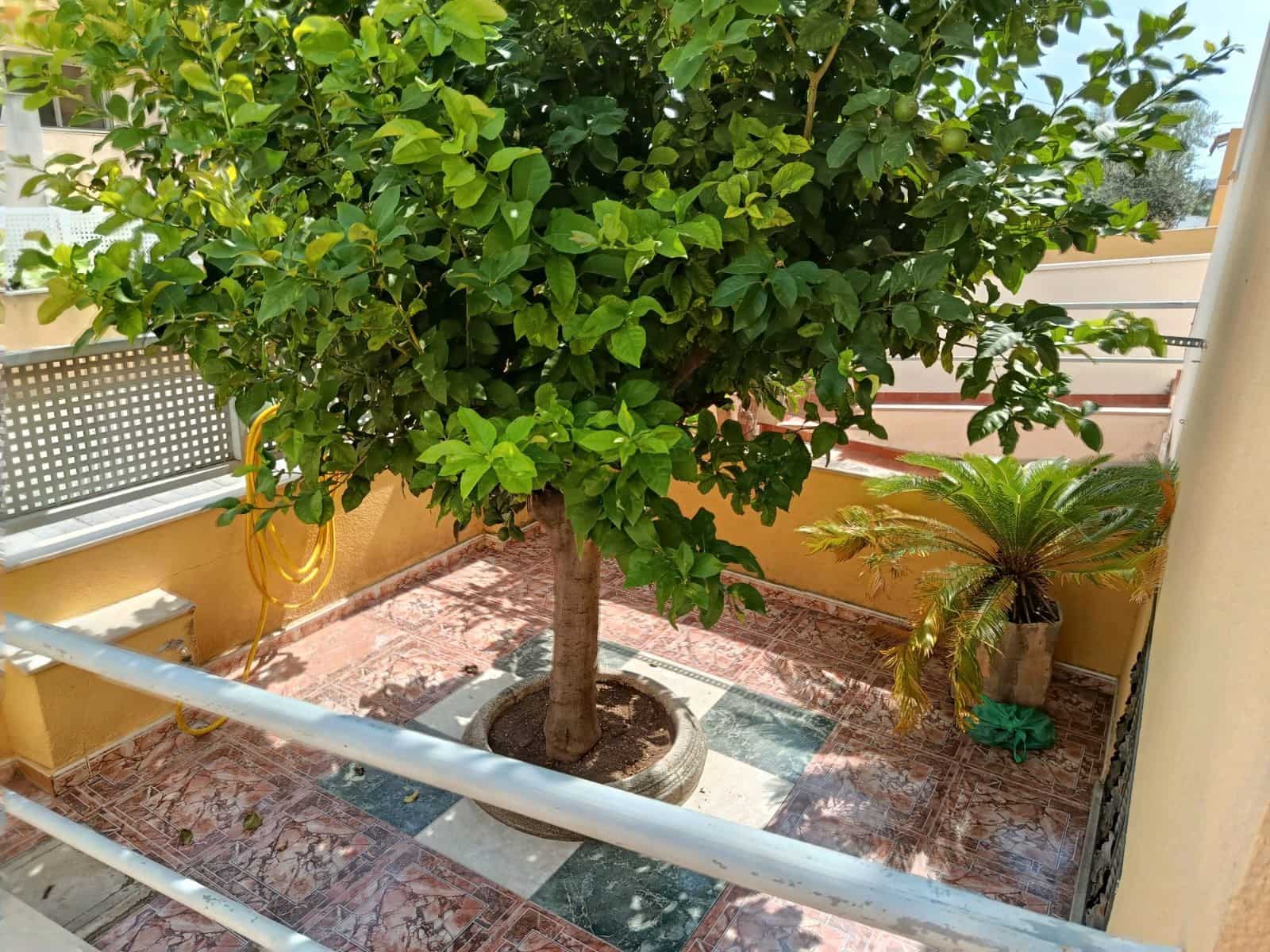 4 sovrum Hus till salu i Vinaros med pool garage - 295 000 € (Ref: 9414498)