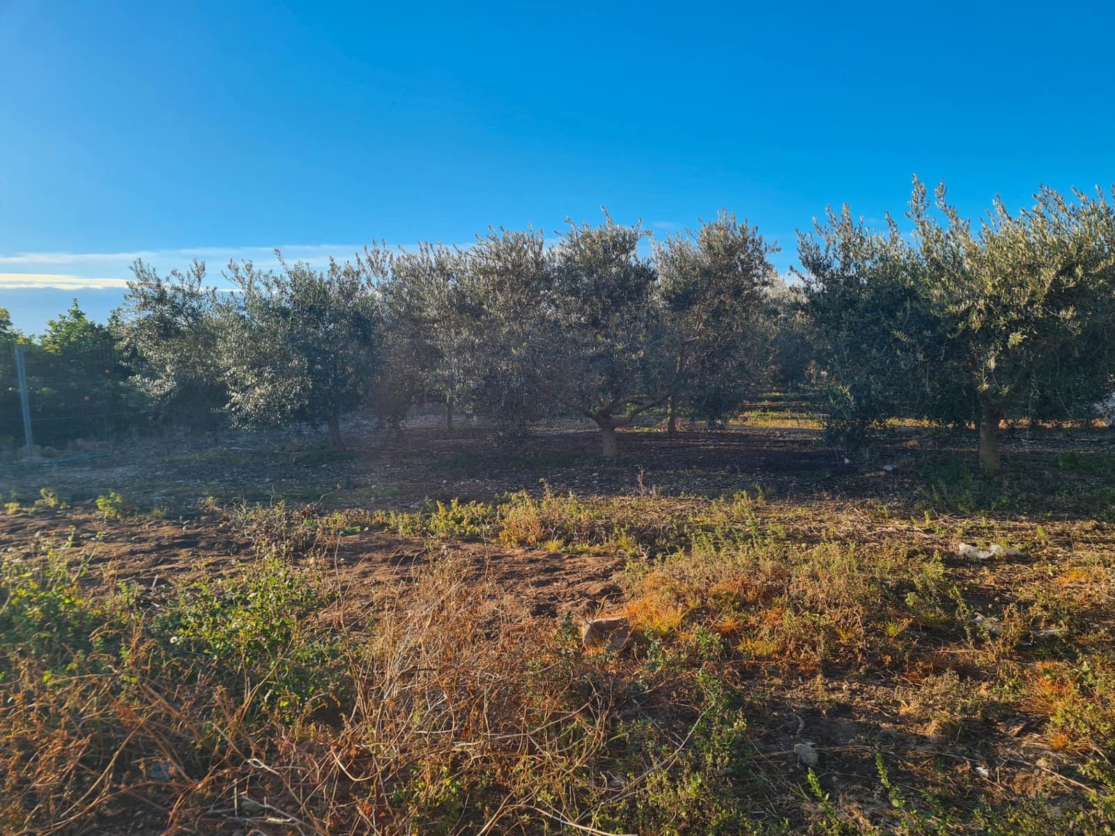 3 bedroom Finca/Country House for sale in Vinaros with garage - € 175,000 (Ref: 9414502)
