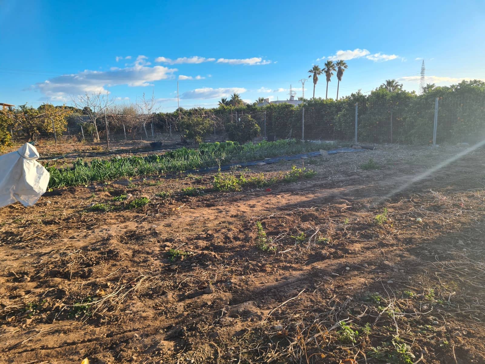 3 bedroom Finca/Country House for sale in Vinaros with garage - € 175,000 (Ref: 9414502)