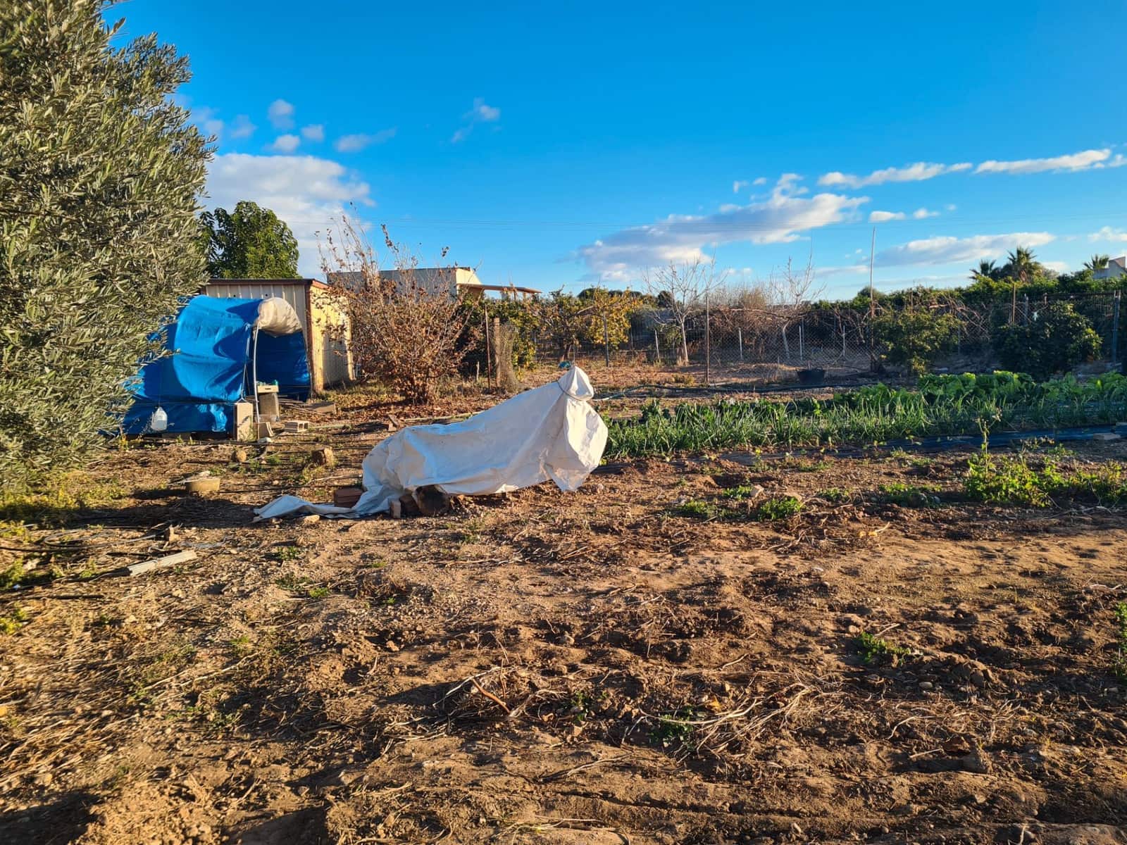 3 bedroom Finca/Country House for sale in Vinaros with garage - € 175,000 (Ref: 9414502)
