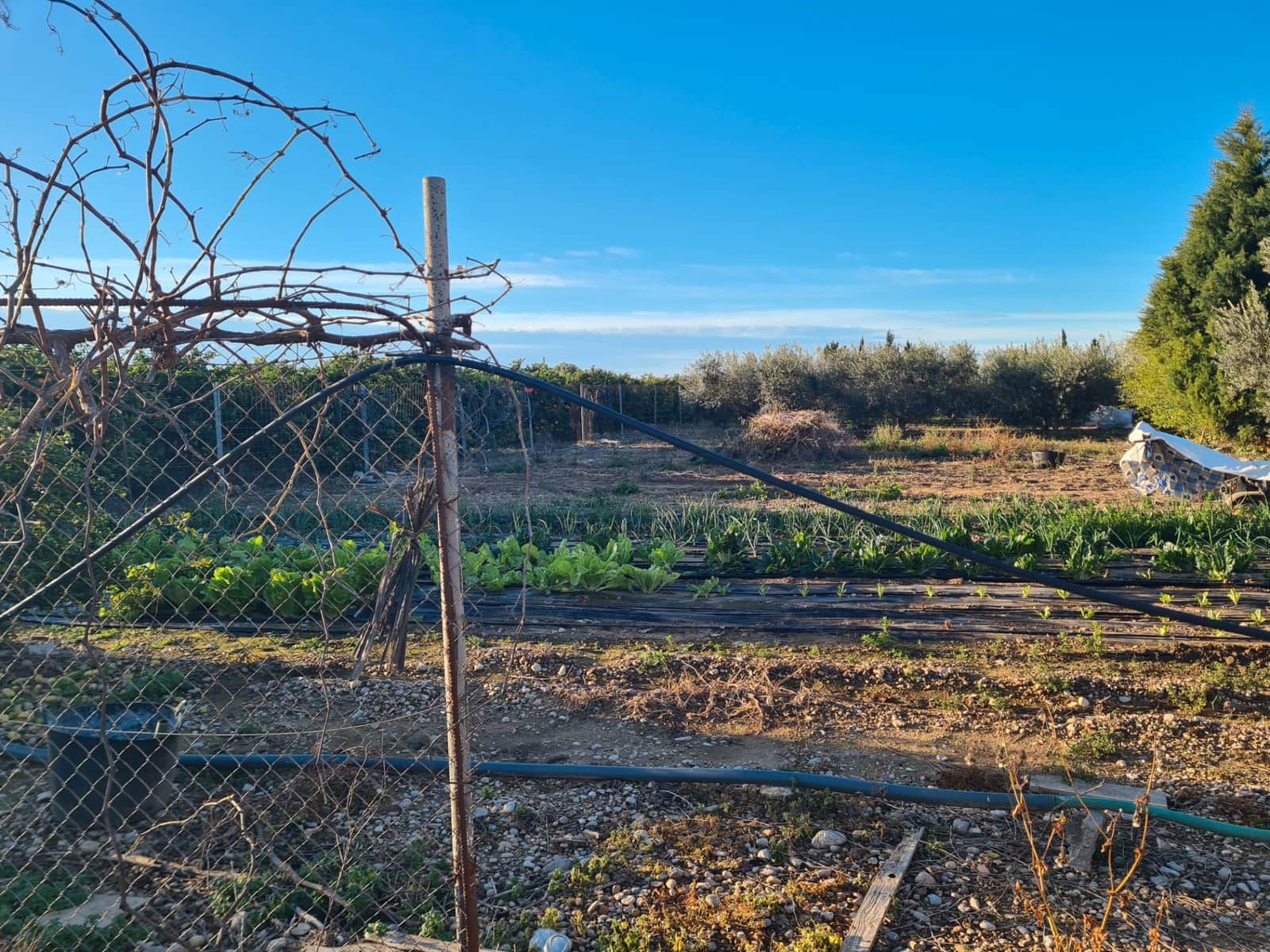3 bedroom Finca/Country House for sale in Vinaros with garage - € 175,000 (Ref: 9414502)