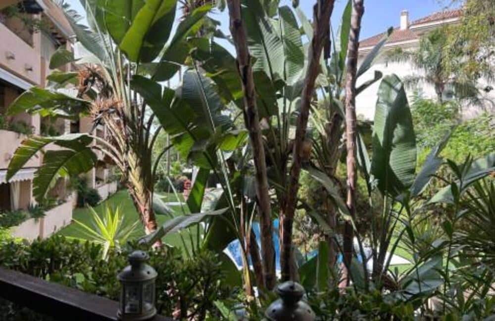 3 Zimmer Apartment zu vermieten in Marbella mit Pool Garage - 3.300 € (Ref: 10025036)