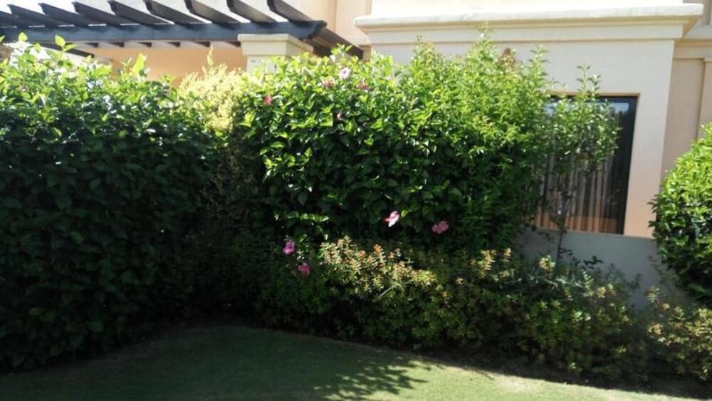 2 quarto Apartamento para arrendar em Benahavis com piscina garagem - 2 750 € (Ref: 10033493)
