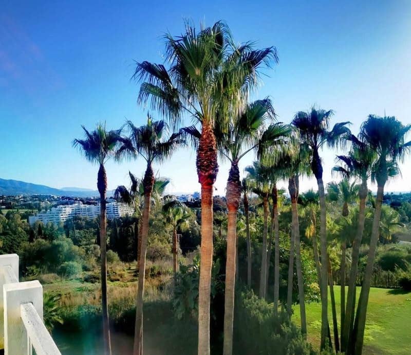 5 soveværelse Villa til leje i Estepona med swimmingpool garage - € 8.000 (Ref: 10141616)