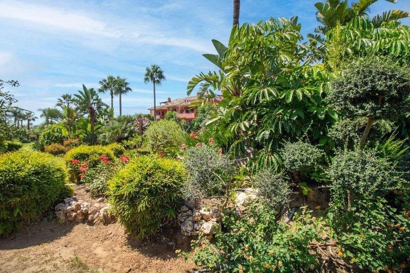 4 quarto Penthouse para arrendar em Bel-Air com piscina garagem - 3 000 € (Ref: 10184081)