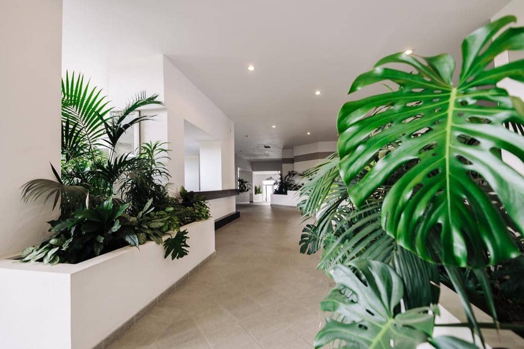 3 bedroom Apartment for rent in Marbella with pool garage - € 2,750 (Ref: 7573734)