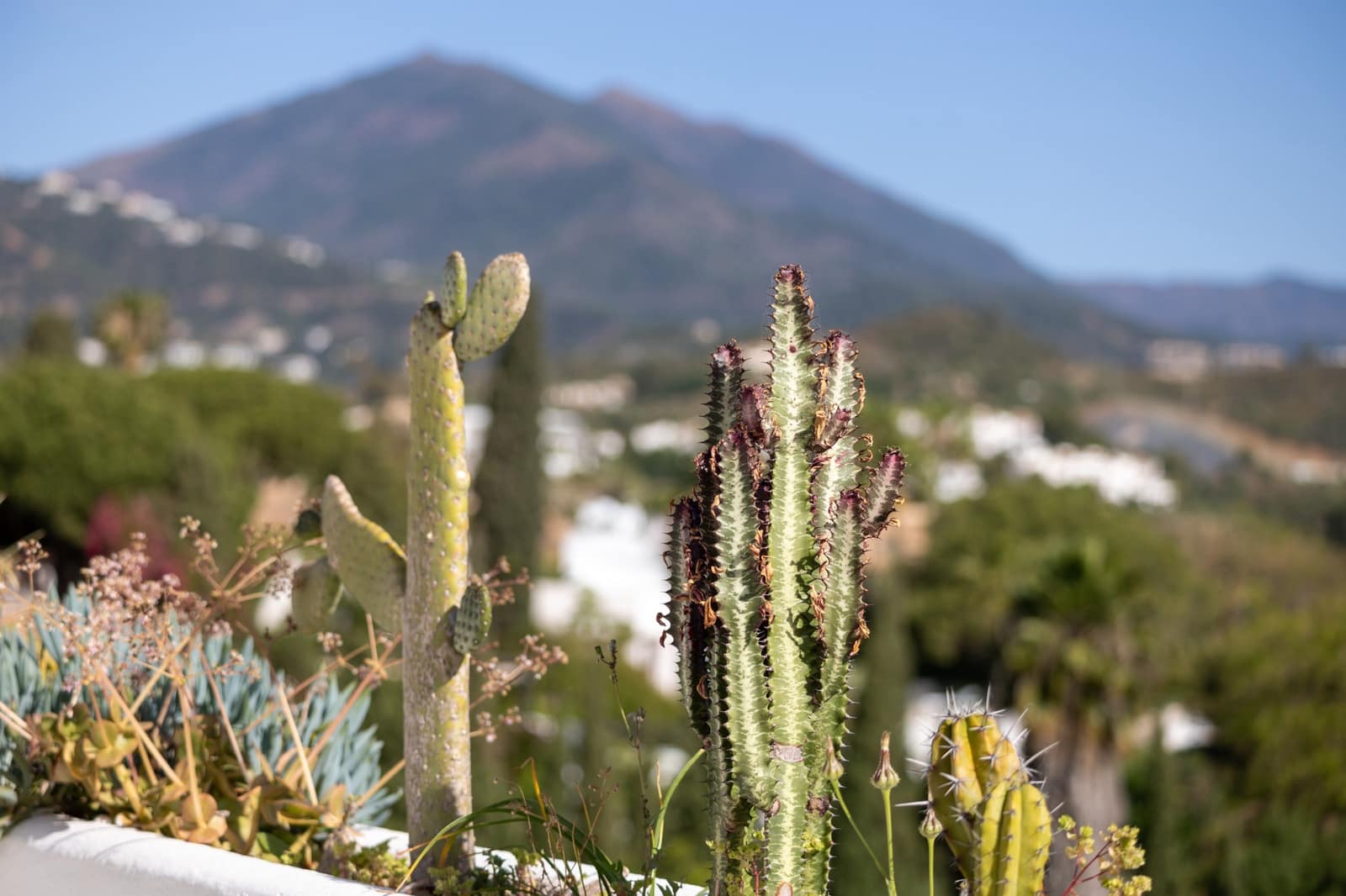 4 quarto Moradia para venda em Marbella com piscina garagem - 1 850 000 € (Ref: 7577475)