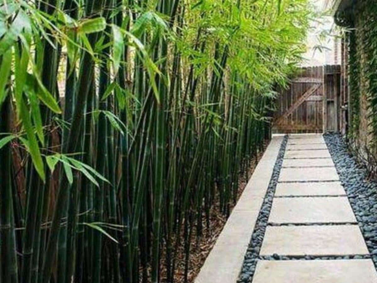 5 soveværelse Villa til salg i Golden Mile med swimmingpool garage - € 4.650.000 (Ref: 7955206)