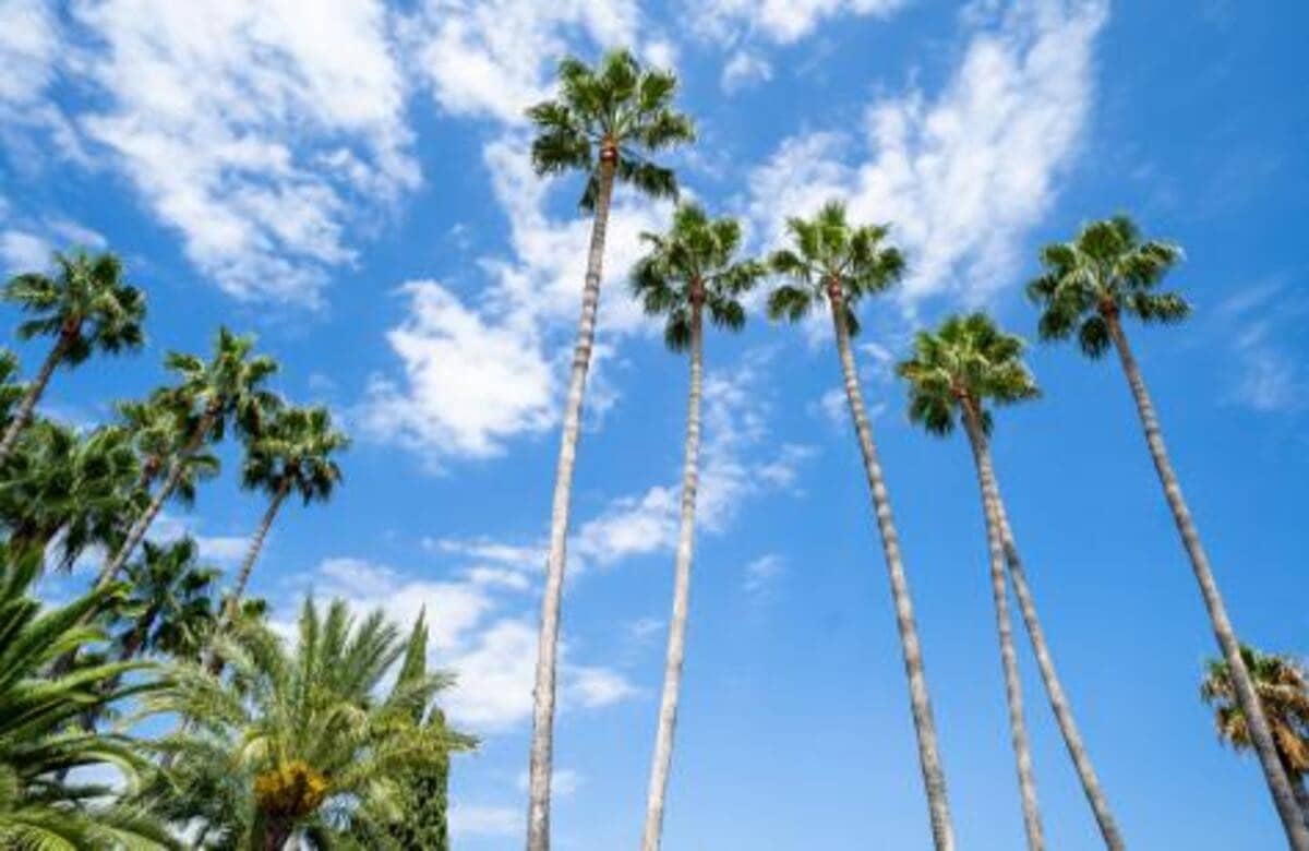 4 camera da letto Villa in vendita in El Paraiso con piscina garage - 3.450.000 € (Rif: 7969159)