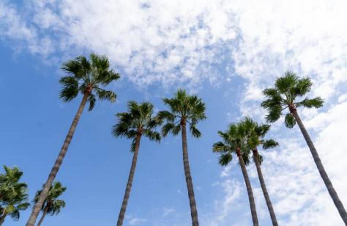 4 camera da letto Villa in vendita in El Paraiso con piscina garage - 3.450.000 € (Rif: 7969159)