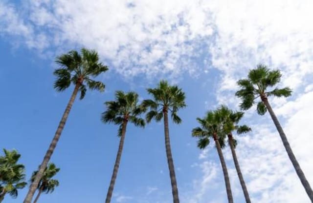 4 camera da letto Villa in vendita in El Paraiso, Estepona con piscina garage - 3.450.000 € (Rif: 7969159)