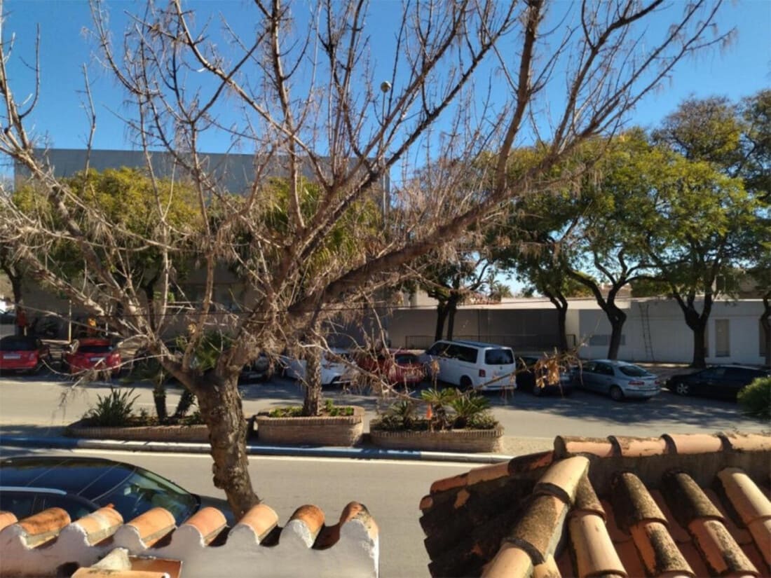 5 sypialnia Willa na sprzedaż w San Pedro de Alcantara - 1 785 000 € (Ref: 8051278)