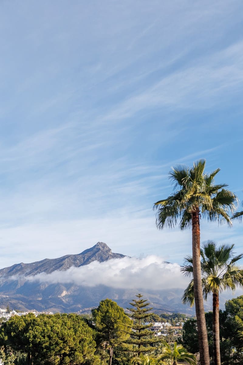 5 quarto Moradia para venda em Marbella com piscina garagem - 5 495 000 € (Ref: 8088836)