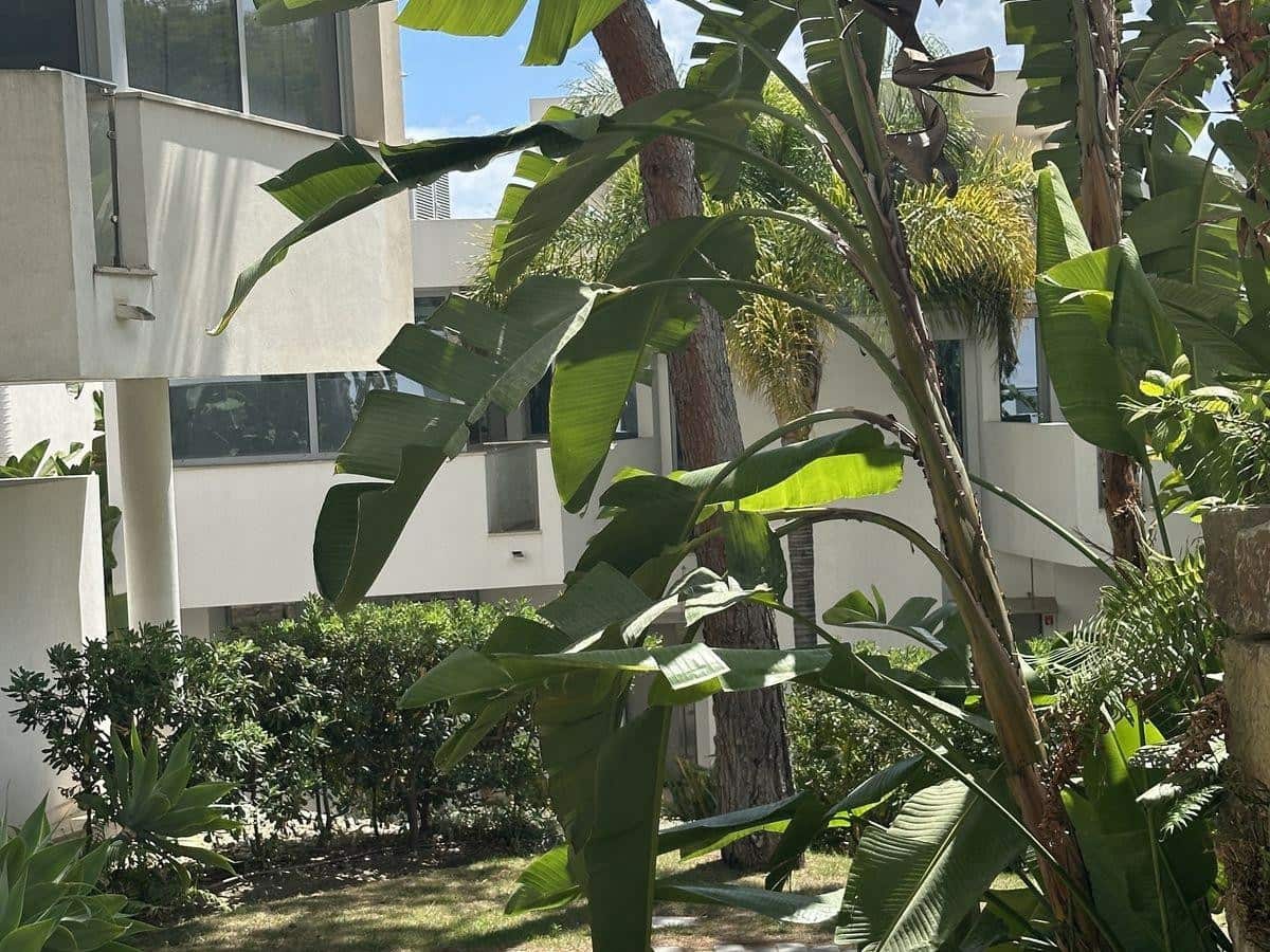 2 soveværelse Byhus til leje i Marbella med swimmingpool garage - € 6.000 (Ref: 8387898)