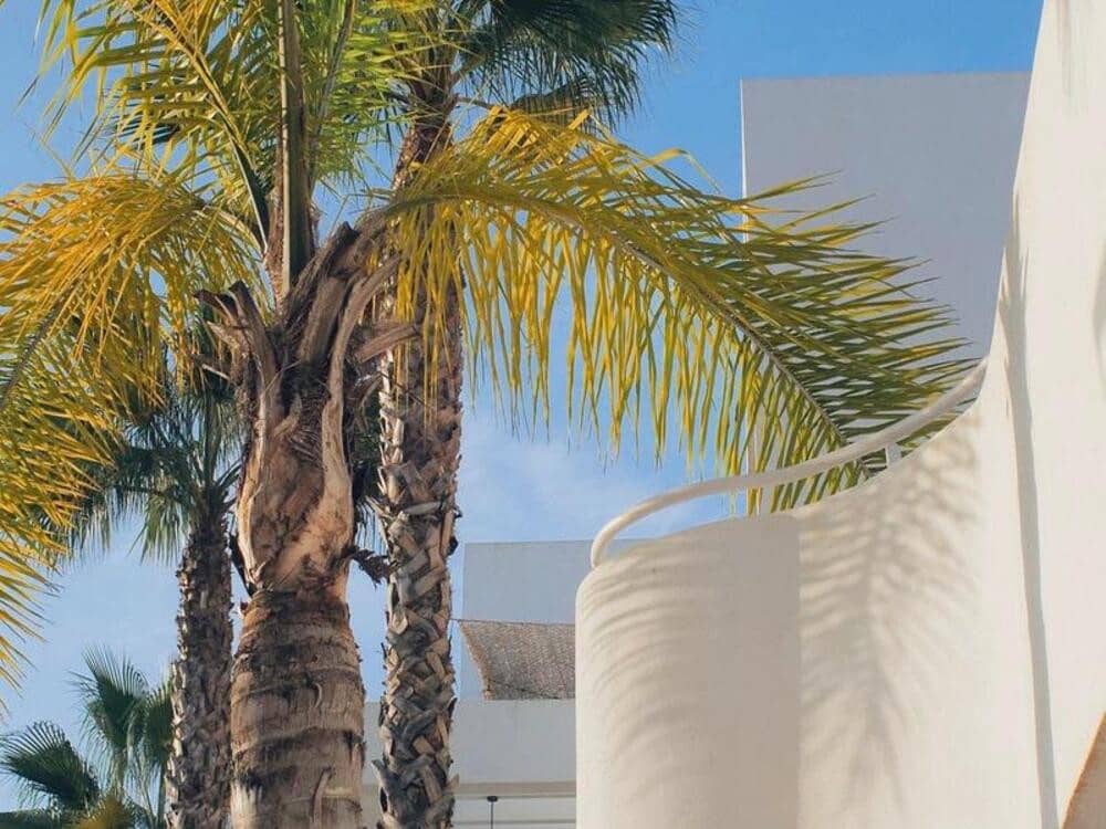 3 camera da letto Attico da affittare in Benahavis con piscina garage - 4.800 € (Rif: 9321419)