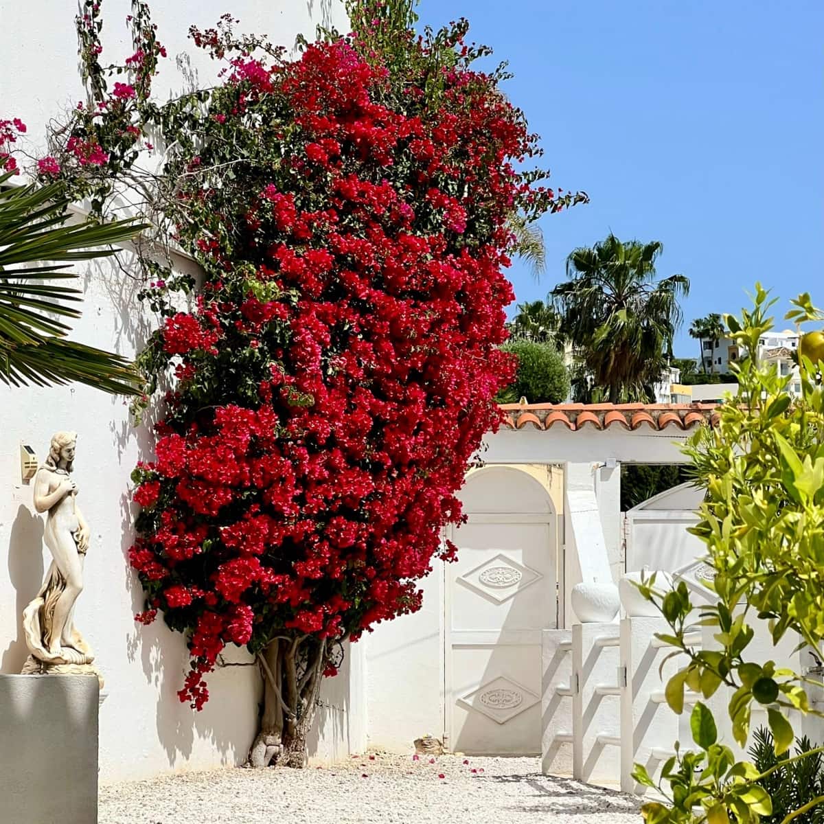 3 soverom Villa til salgs i Mijas Costa med svømmebasseng garasje - € 1 730 000 (Ref: 9382264)