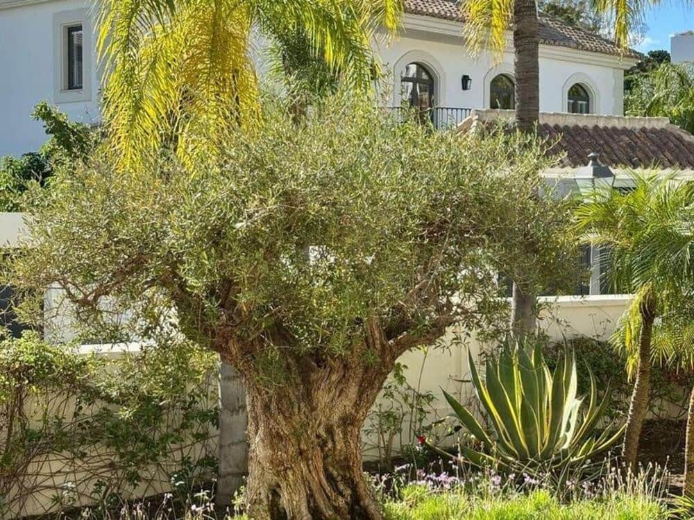 4 bedroom Villa for rent in La Quinta with pool garage - € 12,000 (Ref: 9398023)