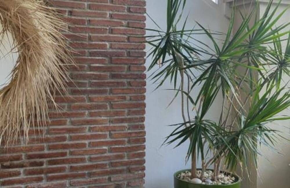 2 slaapkamer Appartement te huur in Benahavis met zwembad - € 2.000 (Ref: 9439040)