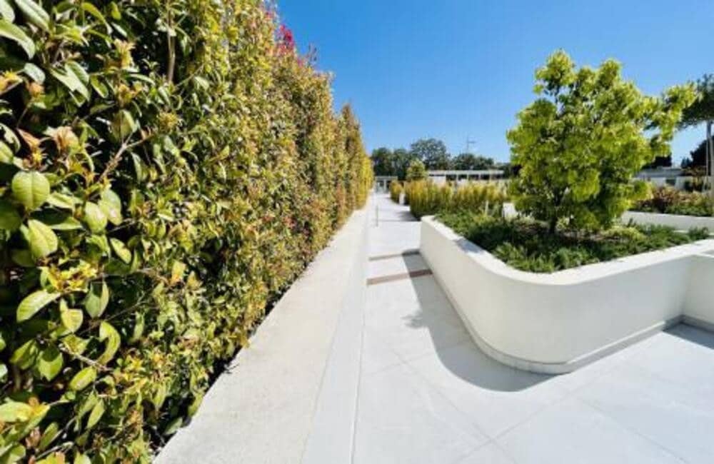 3 bedroom Apartment for rent in San Pedro de Alcantara with pool garage - € 5,000 (Ref: 9633684)