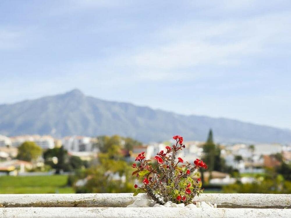 3 soveværelse Penthouse til leje i Guadalmina med swimmingpool garage - € 3.200 (Ref: 9694587)