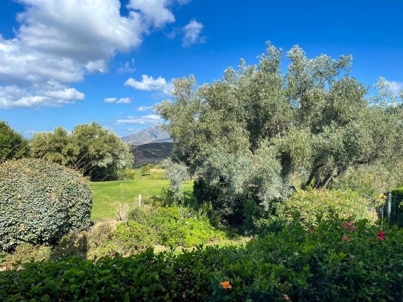 6 sypialnia Willa do wynajęcia w Marbella z basenem garażem - 12 000 € (Ref: 9772633)