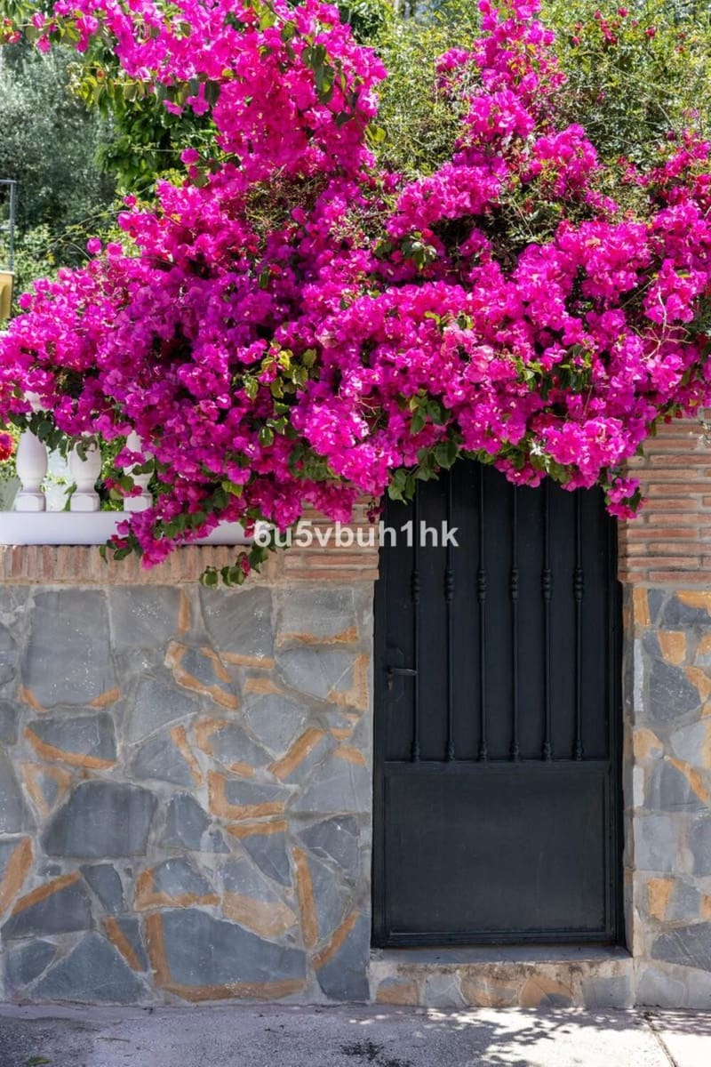 5 soverom Hus til salgs i San Pedro de Alcantara med garasje - € 695 000 (Ref: 9777577)