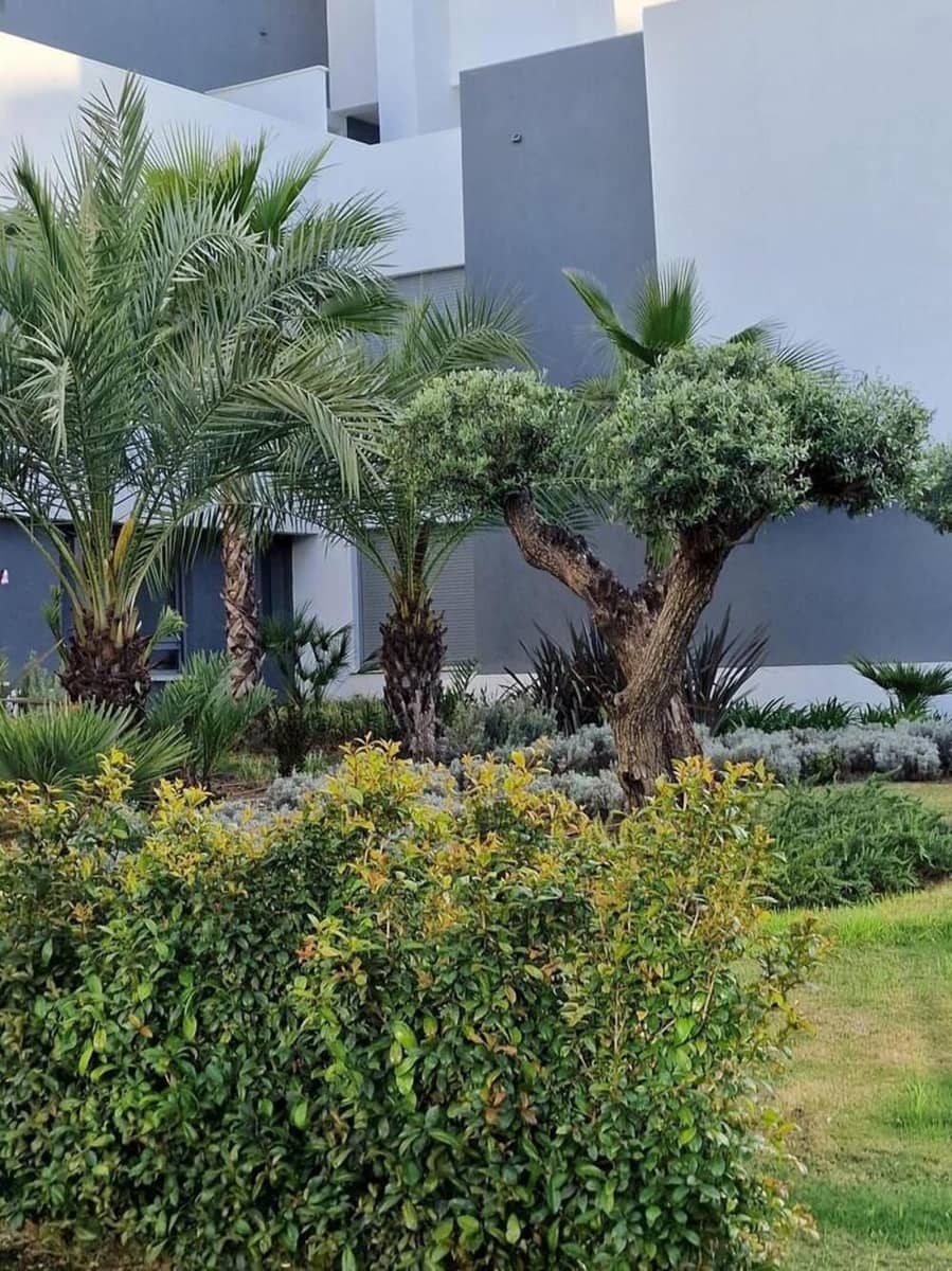 2 quarto Apartamento para arrendar em New Golden Mile com piscina garagem - 2 900 € (Ref: 9819798)
