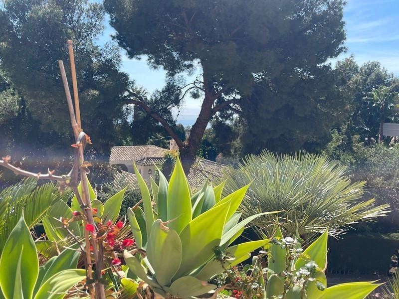 2 sypialnia Apartament do wynajęcia w Marbella z basenem garażem - 2 500 € (Ref: 9821903)